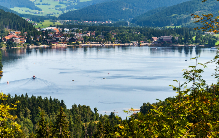 © Leonid Andronov/Shutterstock