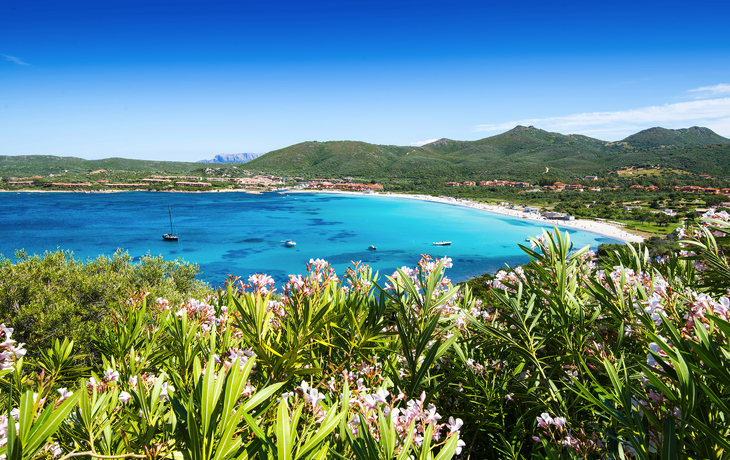 © ernestos vitouladitis/Shutterstock