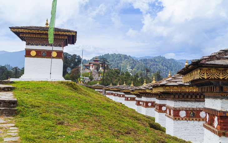 © Ocean Eloy/Shutterstock