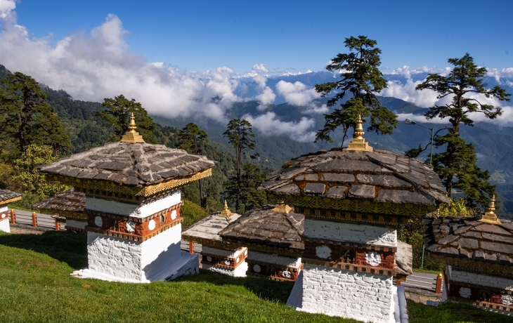 © Ocean Eloy/Shutterstock