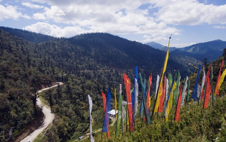 © Ocean Eloy/Shutterstock