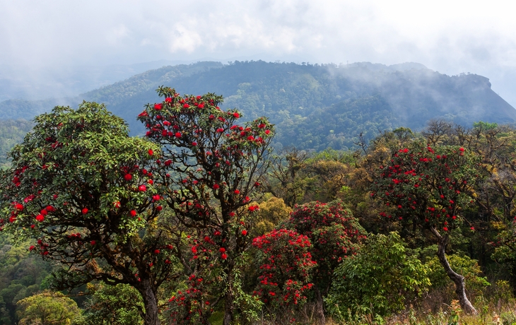 © Ocean Eloy/Shutterstock