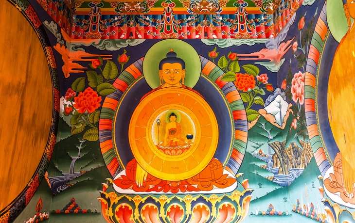 © Ocean Eloy/Shutterstock