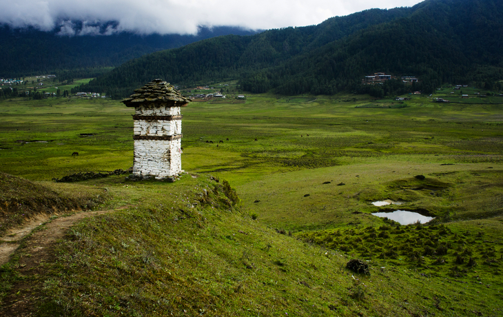 © UlyssePixel/Shutterstock