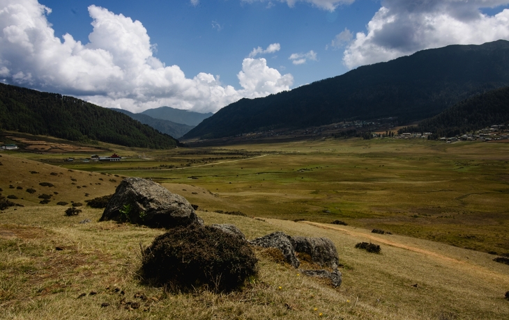 © UlyssePixel/Shutterstock