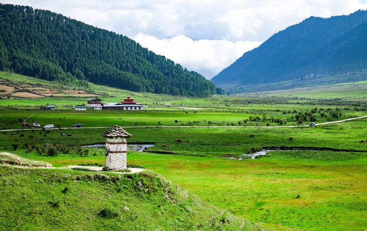 © UlyssePixel/Shutterstock