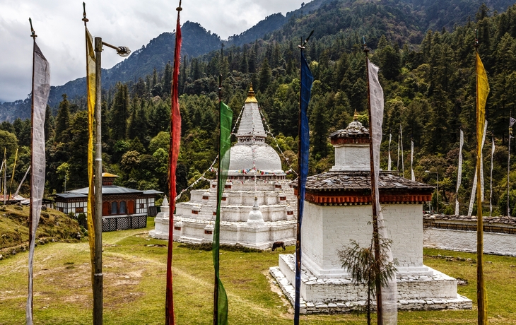 © Jan Willem van Hofwegen/Shutterstock