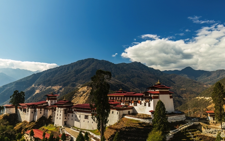 © Jan Willem van Hofwegen/Shutterstock