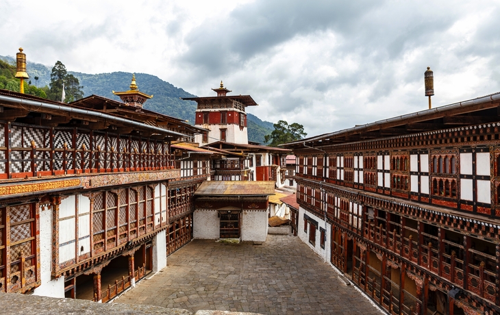 © Jan Willem van Hofwegen/Shutterstock