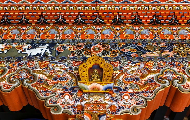 © Jan Willem van Hofwegen/Shutterstock