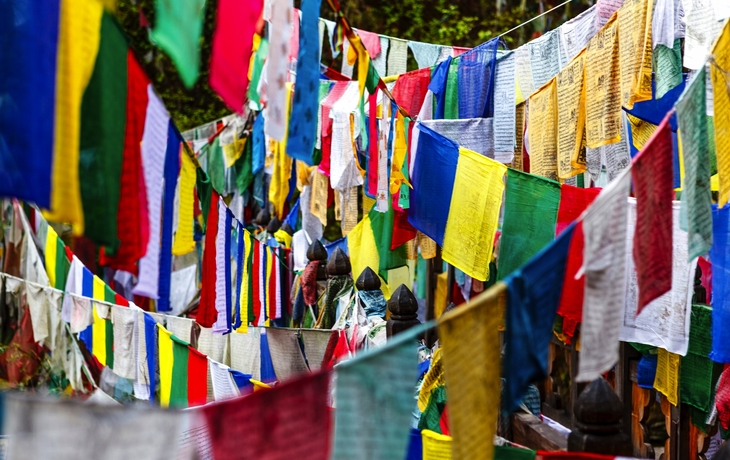 © Jan Willem van Hofwegen/Shutterstock