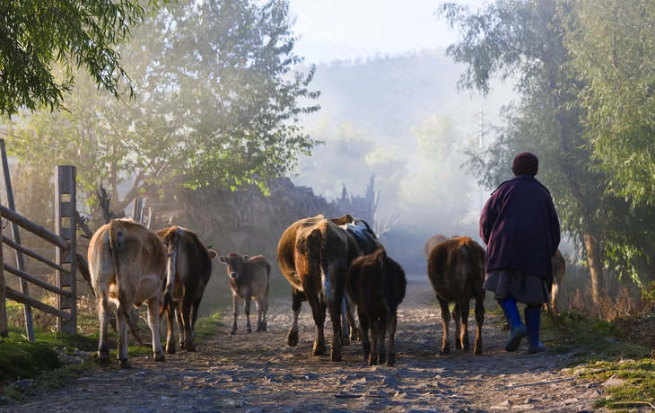 © Cyrille Redor/Shutterstock
