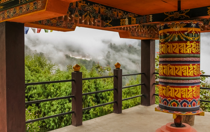 © Cyrille Redor/Shutterstock