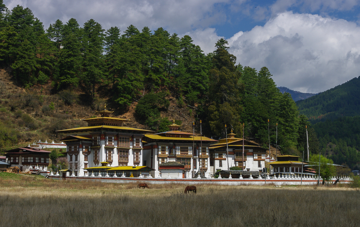 © Cyrille Redor/Shutterstock