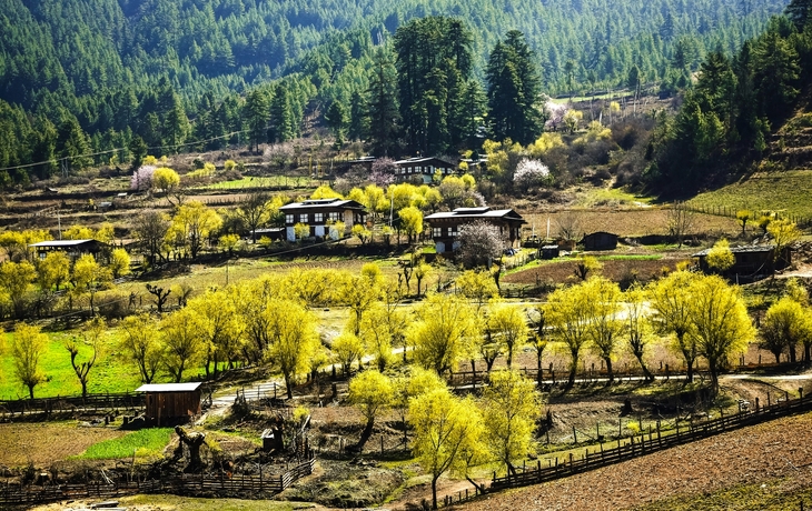 © Cyrille Redor/Shutterstock