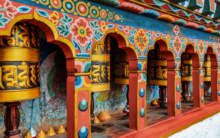 © Jan Willem van Hofwegen/Shutterstock