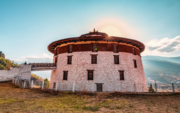 © Jan Willem van Hofwegen/Shutterstock