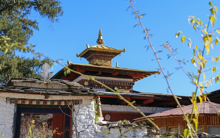 © Jan Willem van Hofwegen/Shutterstock