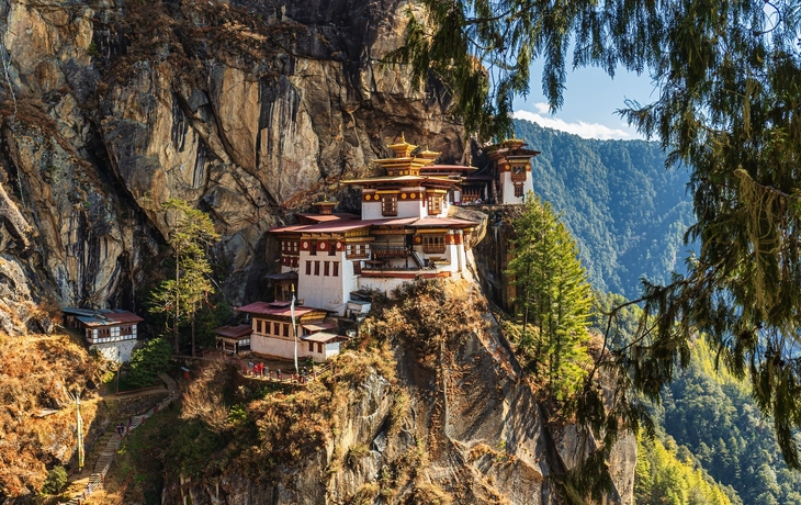 © Framalicious/Shutterstock