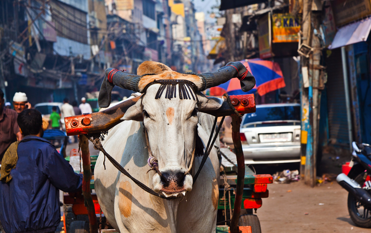 © Richie Chan/Shutterstock