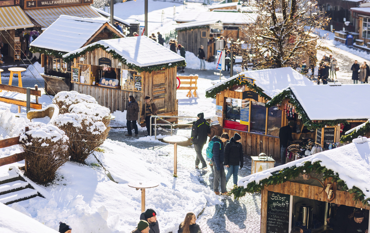 © NÖVOG/Wegerbauer