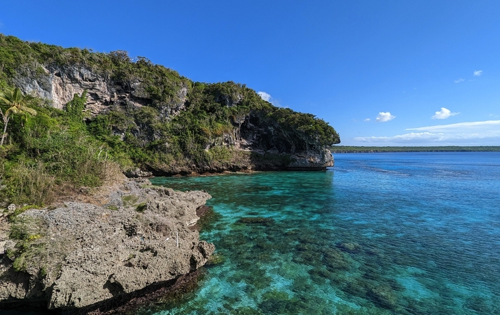 © norinori303/Shutterstock