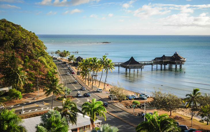 © norinori303/Shutterstock