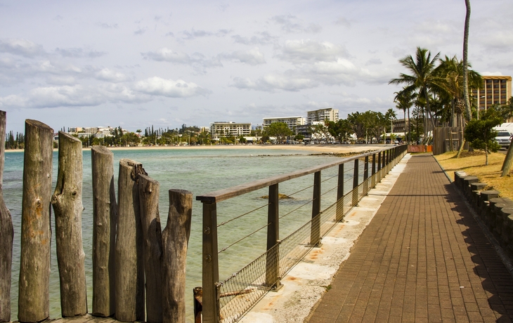 © norinori303/Shutterstock