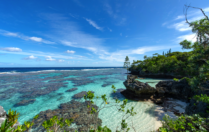 © norinori303/Shutterstock