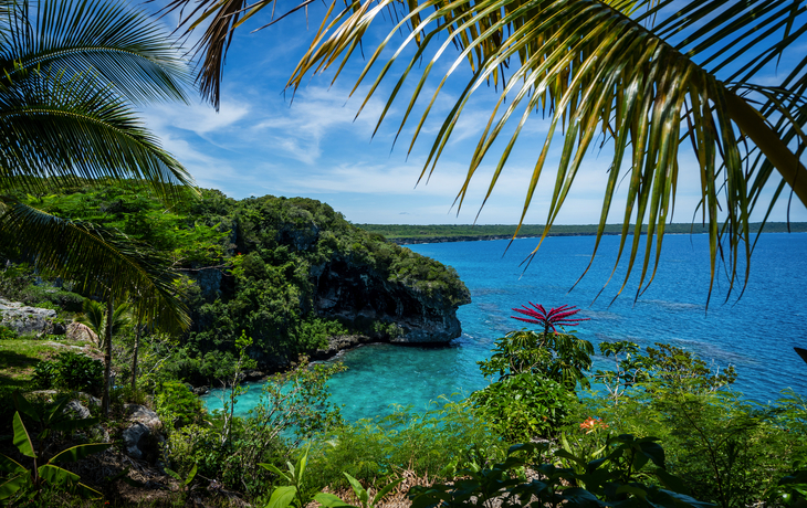 © norinori303/Shutterstock