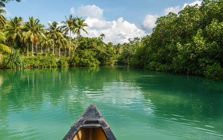 © norinori303/Shutterstock