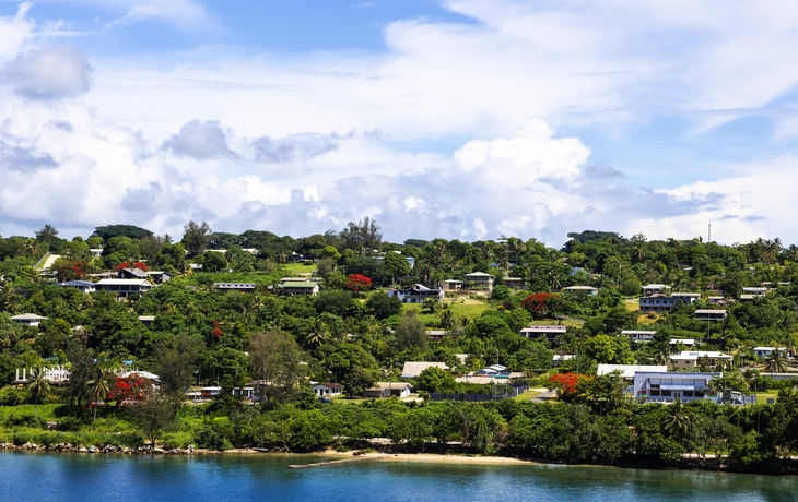 © norinori303/Shutterstock