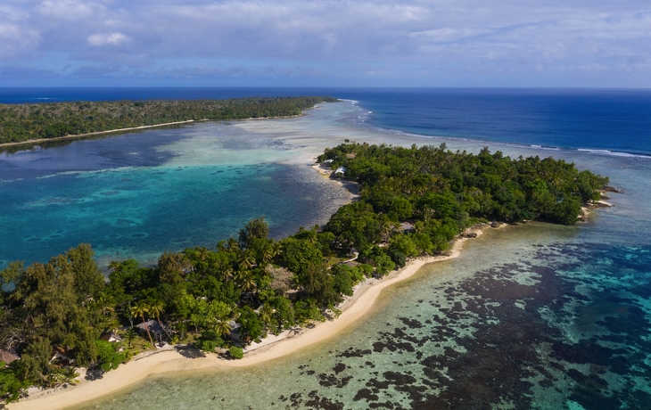 © norinori303/Shutterstock