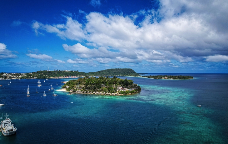 © norinori303/Shutterstock