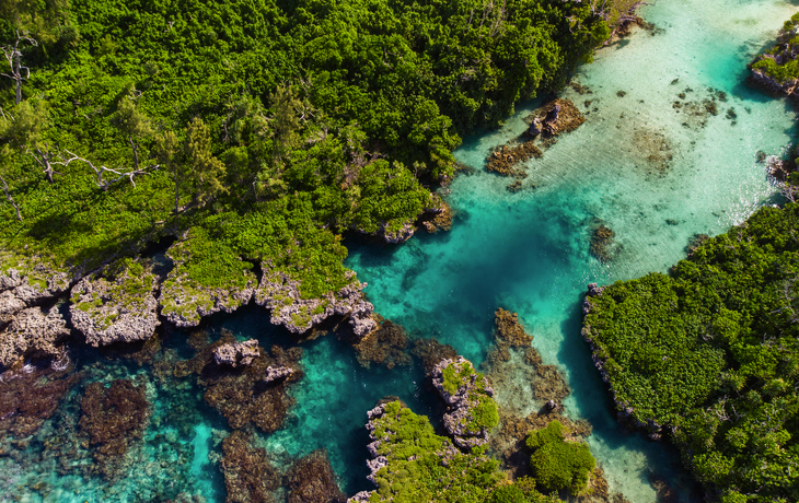 © norinori303/Shutterstock