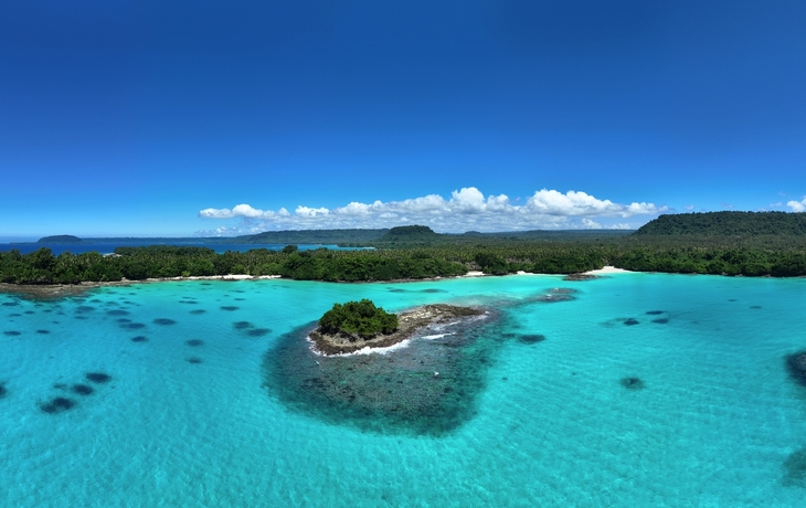 © norinori303/Shutterstock