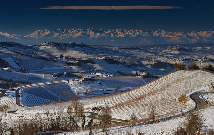 © Simona Sirio/Shutterstock