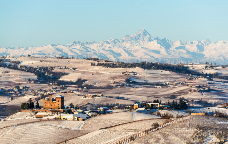 © Simona Sirio/Shutterstock