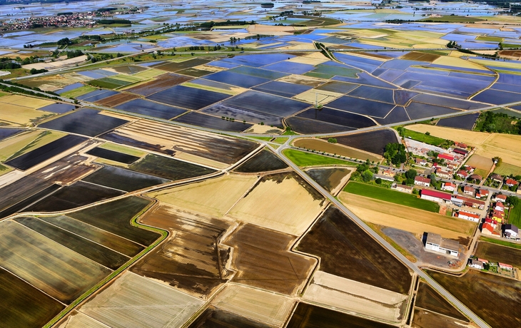 © Giorgio Morera/Shutterstock