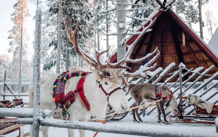 © BlueOrange Studio/Shutterstock