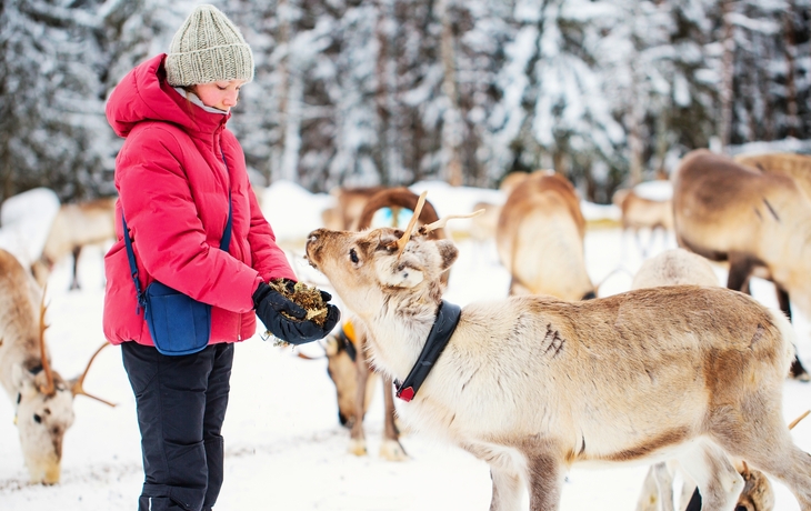 © BlueOrange Studio/Shutterstock