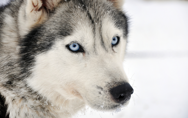 © BlueOrange Studio/Shutterstock