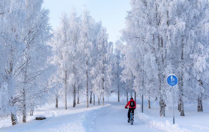 © BlueOrange Studio/Shutterstock