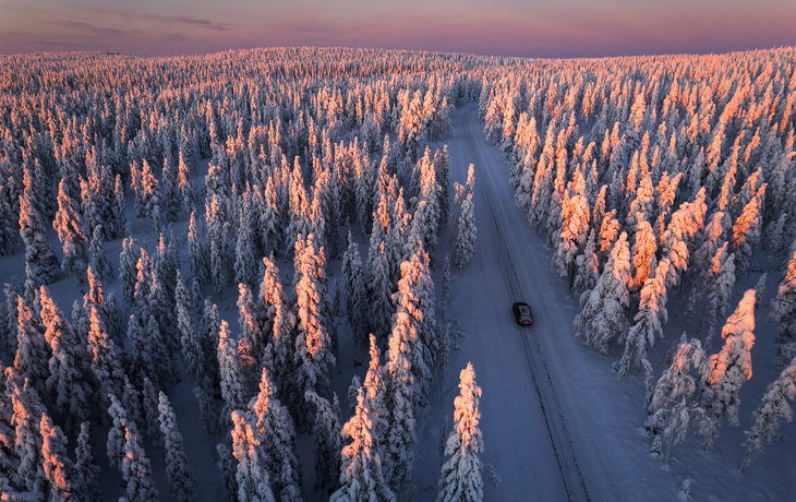 © BlueOrange Studio/Shutterstock