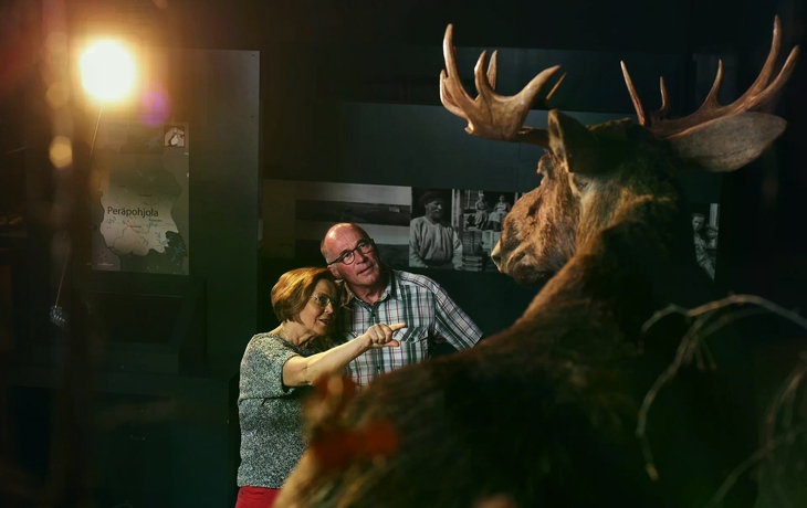 © Arktikum Rovaniemi