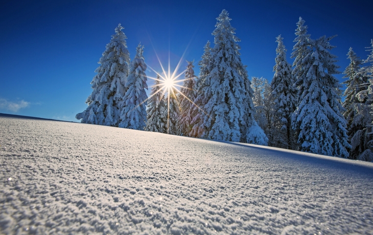 Viadukt bei Nacht mit Weihnachtsmarkt und stimmungsvoller Beleuchtung. - © Michel - stock.adobe.com
