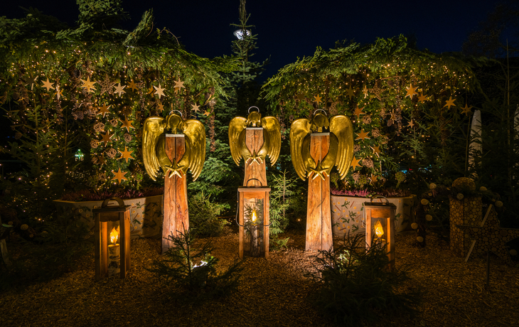 Menschen auf einem Weihnachtsmarkt vor einem historischen Gebäude bei Nacht. - ©e55evu - stock.adobe.com