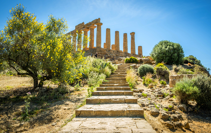 © saiko3p/Shutterstock