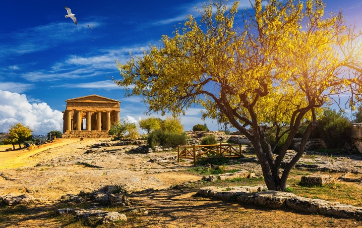 © saiko3p/Shutterstock