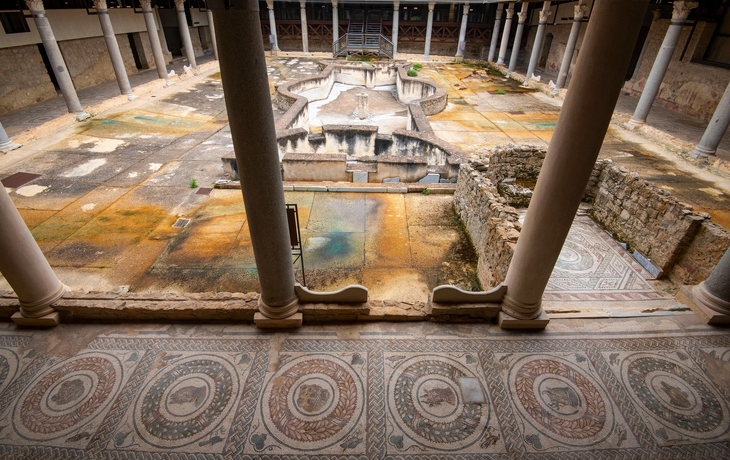 © aapsky/Shutterstock